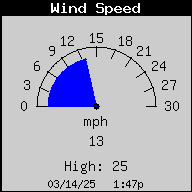 1437A-WindSpeedNGust